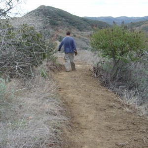 More finished singletrack