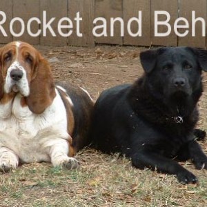 Rocket_and_Behr_2